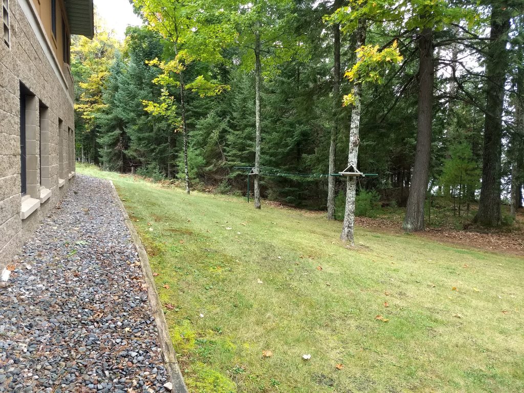 clothesline next to trees